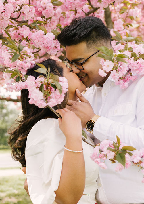 DC Cherry Blossom Engagement | Evans & Carolina