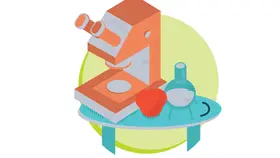 As principais startups brasileiras de alimentação