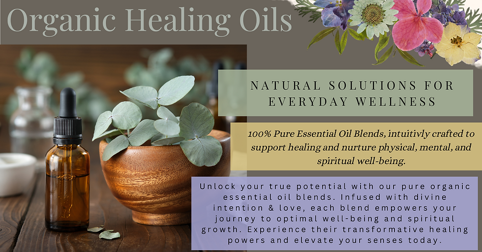 Shopify Banner 1520 x 855 UPDATE 03-15-2025.png