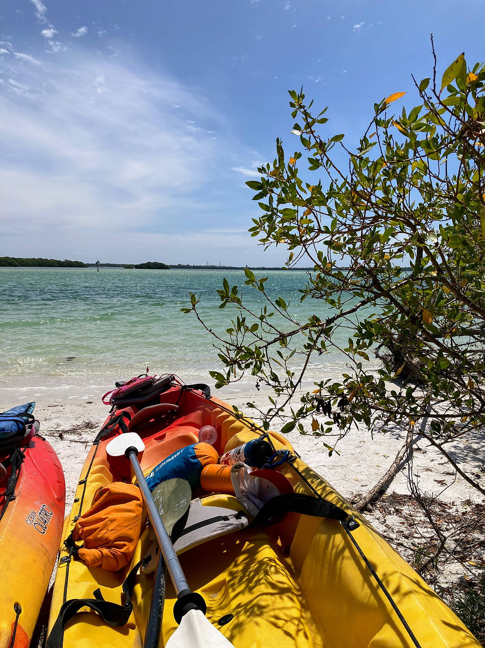 Two brightly colored kayaks on a calm beach, symbolizing the importance of outdoor activities like kayaking as an intervention for managing depressive symptoms, promoting mental wellness through nature and exercise.