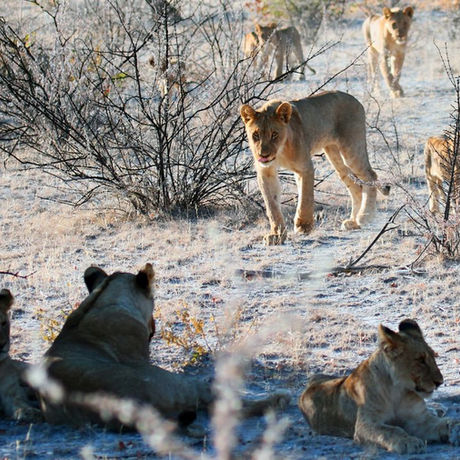 What Month Is It Cold in Africa?