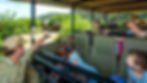 Children riding an RV, while looking outside and observing the various animals