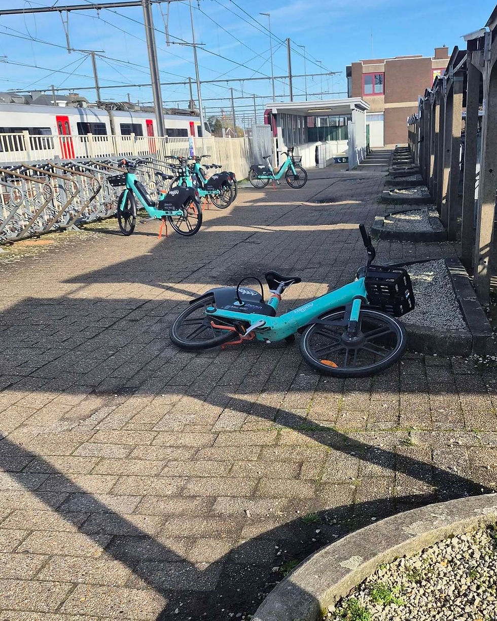 Bevegemnaars ontwaken tussen rommel en vandalisme