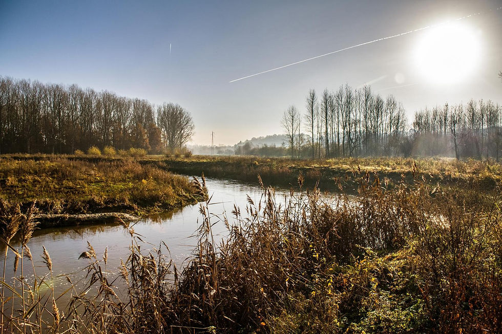 De gevolgen van een droog voorjaar: maart, april en mei 2025