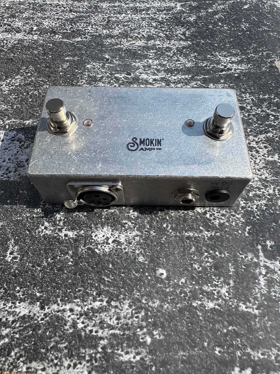 Thumbnail: Dual Mute switch for 1/4” instrument and XLR microphone