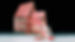 MRaffoni_site pic (Myron Jay Dorf_Getty Images).jpg