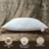 Spaces Essential Welspun Quilted Pillow Pack of 2