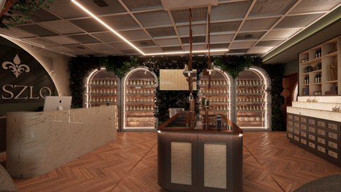 LASZLO Concept-Belo Horizonte-MG