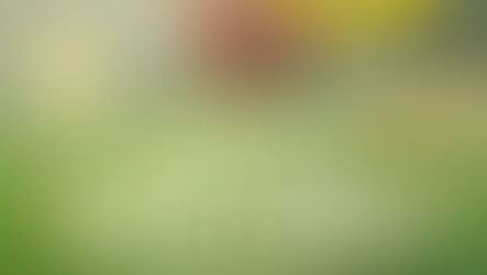 Estudo do Catecismo convida fiéis a aprofundarem a fé