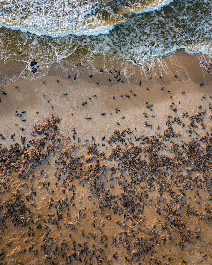 Air photography by Joe Orsi