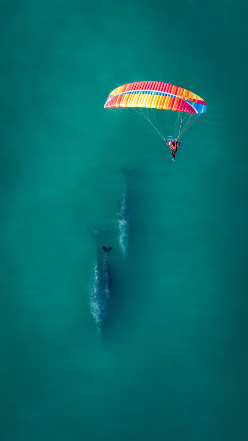 Air photography by Joe Orsi
