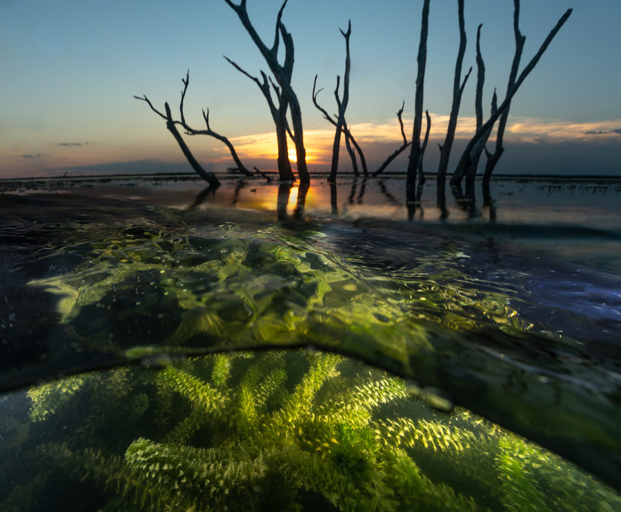 Sea photography by Joe Orsi