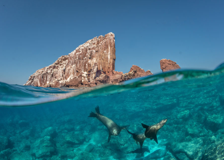 Sea photography by Joe Orsi