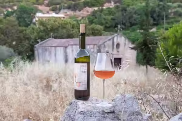 Orange Wine: Noua frontieră a vinificației moderne