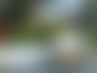 Στέρνα Πανού. Ψαχνά .11:30 π.μ. Κυριακή 30 Μαρτίου.