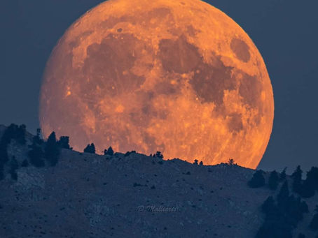 Πανσέληνος από τον Δημήτρη Μάλιαρη.
