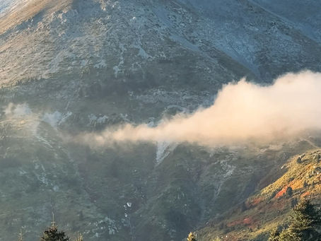 Βόλτα στην Δίρφη ...με τον Ορειβατικό Σύλλογο Χαλκίδας.