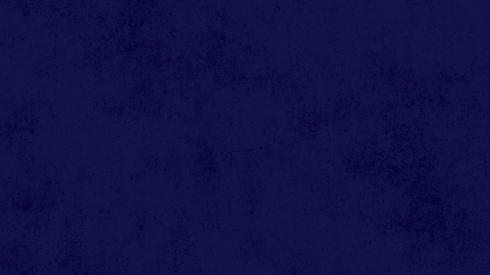 website pt 2.png