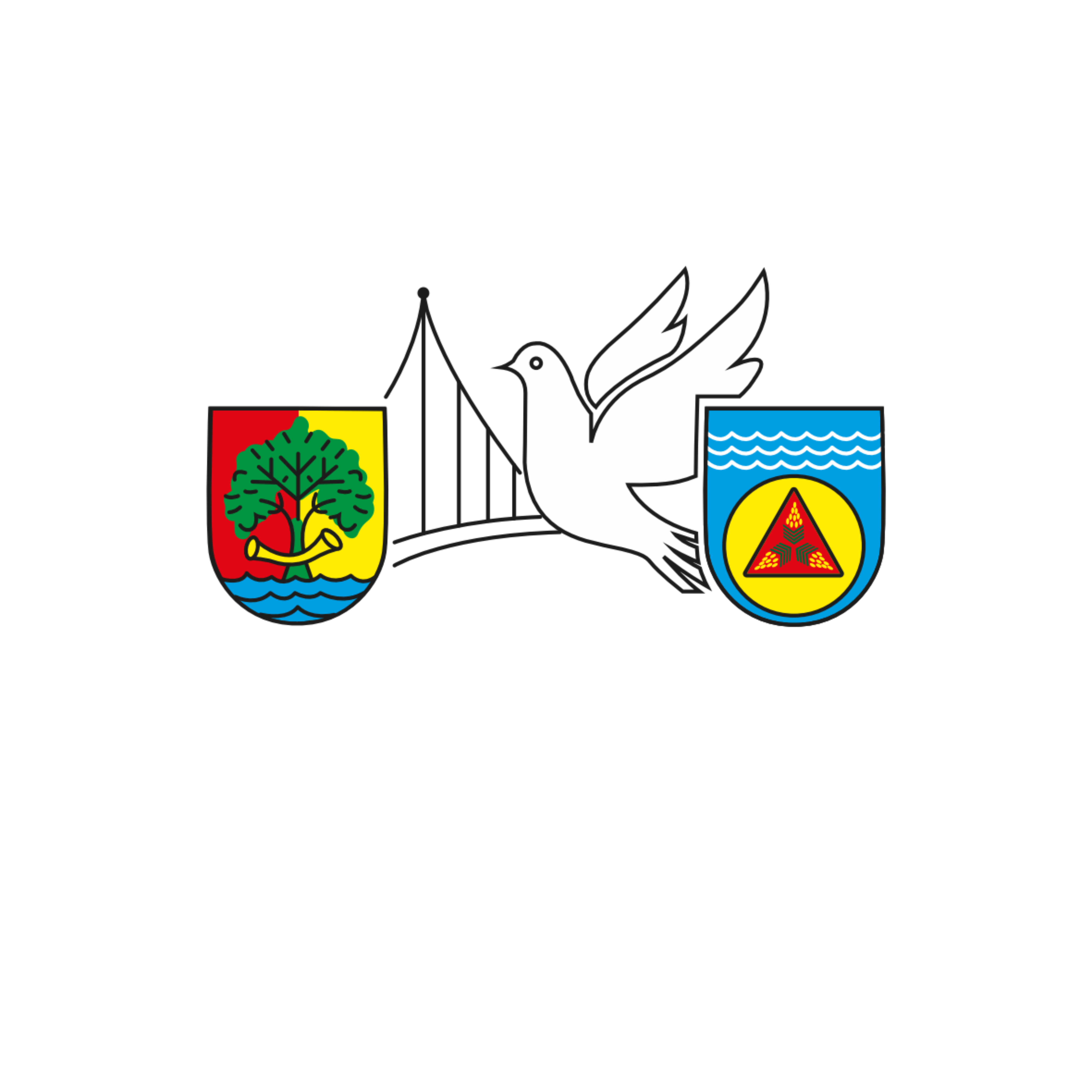 Autorenbild: Brücke nach Horishni Plavni e.V.