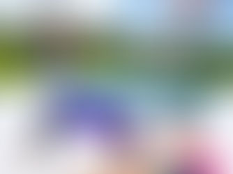 🦋🤸Warum Aerial + Acro Yoga nicht zusammen passen?