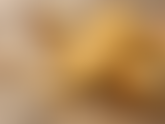 CitySitesUrbanMedia.com