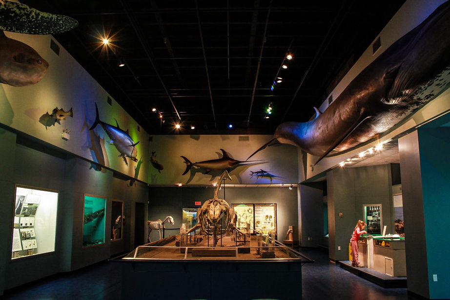 HFX Bucket List Pass-34.jpg