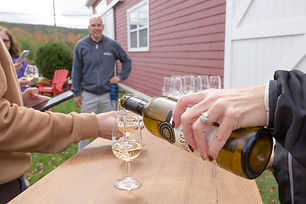 Valley Wine Tours for Google Ad - 1 (1).