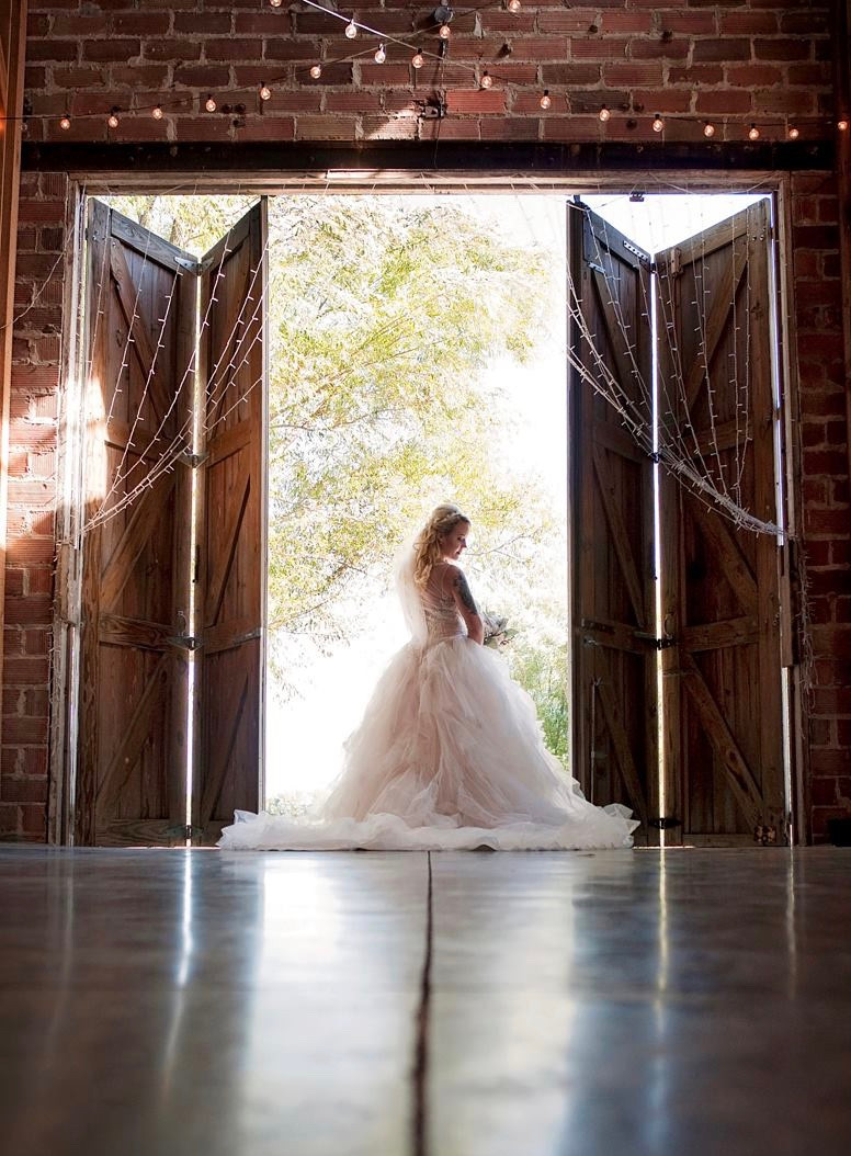 Kyleigh Whitfield Photography 