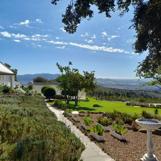 Lavender garden