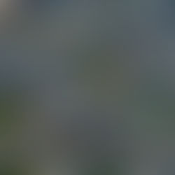 Transforming Data Management for a Major Transportation Company with dbt and Snowflake