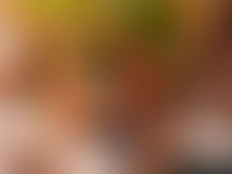 What Packages Do Mobile Bar Hire Companies Offer For A Birthday Party?