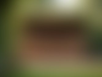 Warfield Bar Event Planning: Hosting Bar Events in Warfield