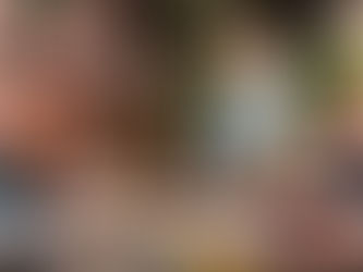 What Types of Food Does the Mobile Bar Hire Service Offer?