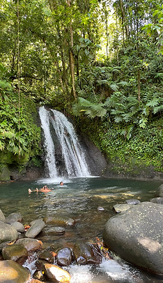 Participants swimming at a waterfall in Guadeloupe National Park