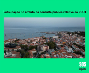REOT - Thank you for participating in the public consultation