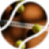 Asset 4.png