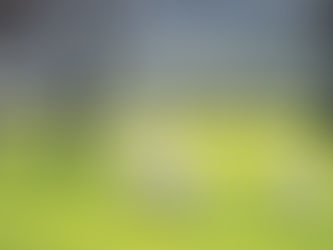 HE MAKES ME LIE DOWN