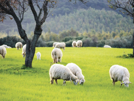 HE MAKES ME LIE DOWN