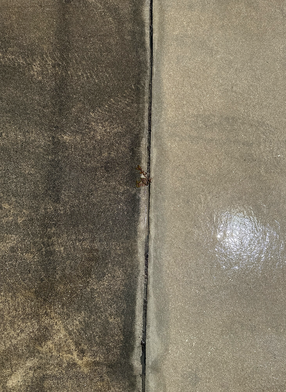 Concrete surface, half dirty, half clean