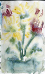scan0052