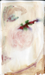 scan0055