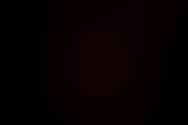AMB_8790