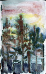 scan0017