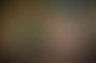AMB_6467