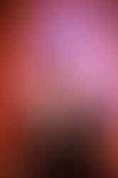 AMB_2551