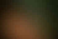 AMB_6490