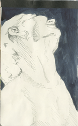 firstsketchbook 45