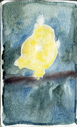 scan0053