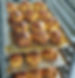 IMG-20210509-WA0011_edited.jpg
