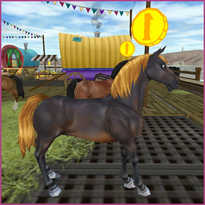 Projekt bez nazwy (5).png